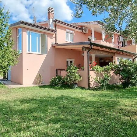 Ferienwohnung Stelia Novigrad Istria Exterior foto